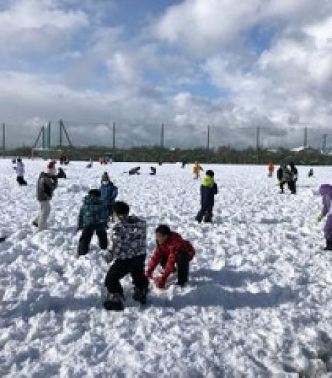 雪かき・雪遊び