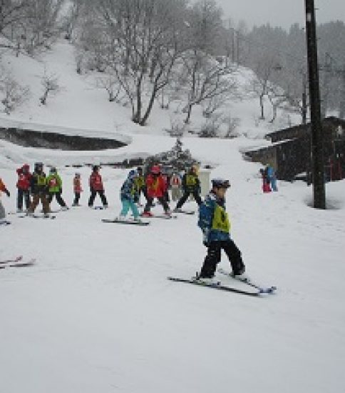 中学年スキー会