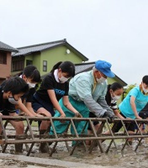 田植え体験（5年生）