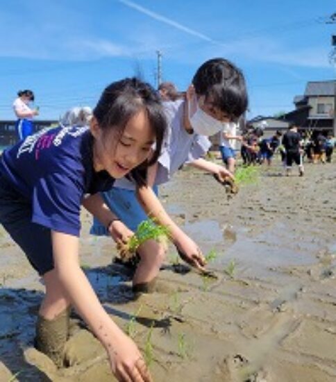 田植え体験（5年生）