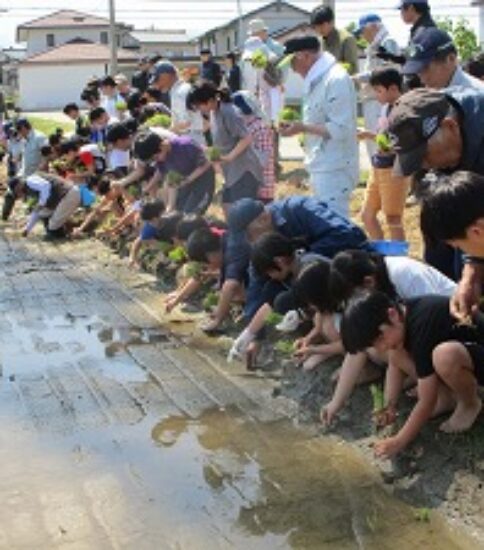 田植え体験【５年生】