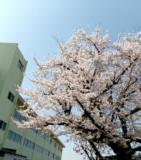 ４月　春