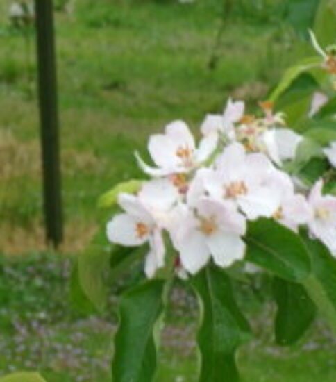 4/28（火）連休の過ごし方