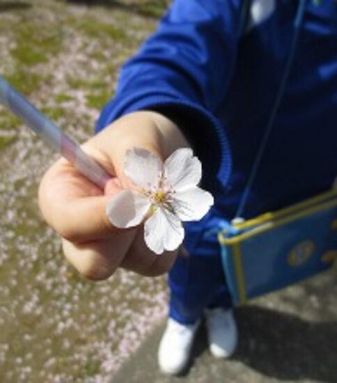 4月　春みつけ（２年生）